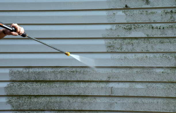 Best Roof Pressure Washing  in Cape Canaveral, FL