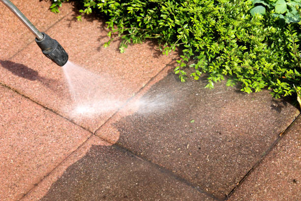 Best Exterior Home Cleaning  in Cape Canaveral, FL
